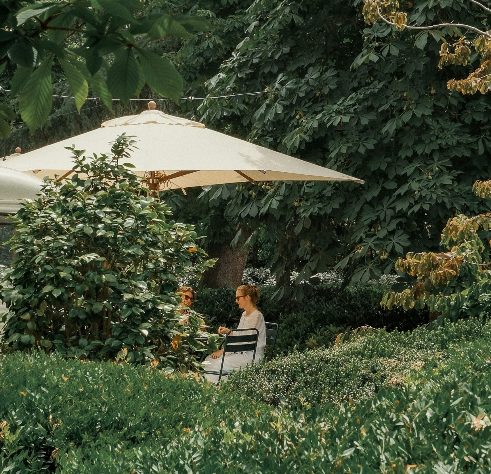 Vertrautes Gespräch im Garten